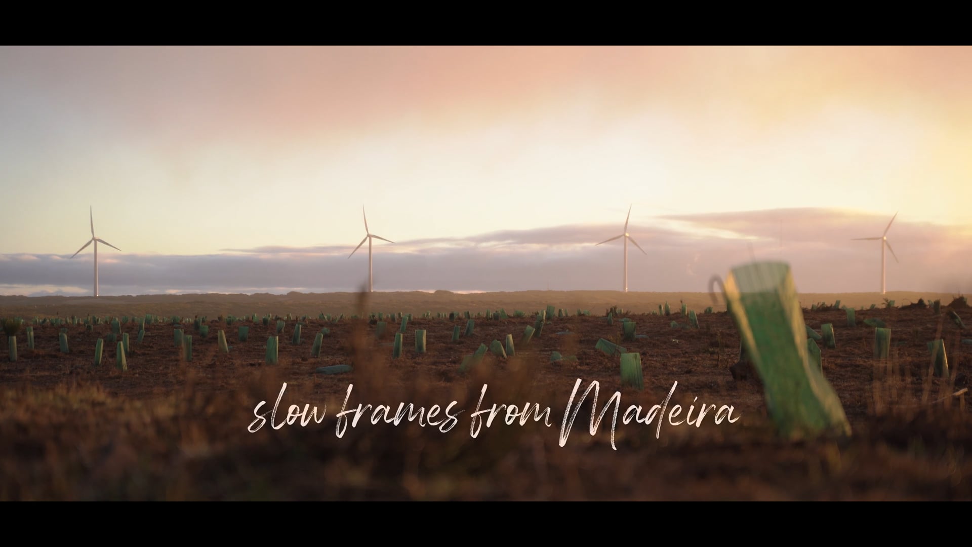 Slow frames from Madeira