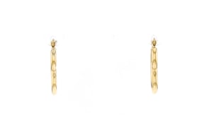 14kt Yellow Gold Heart Hoop Earrings