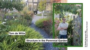 Tom de Witte - Structure in the Perennial Garden