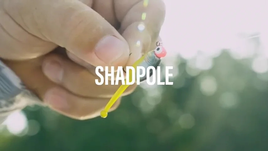 Mr. Crappie Shadpole Ball Tail Soft Plastic - 15 pack — Discount