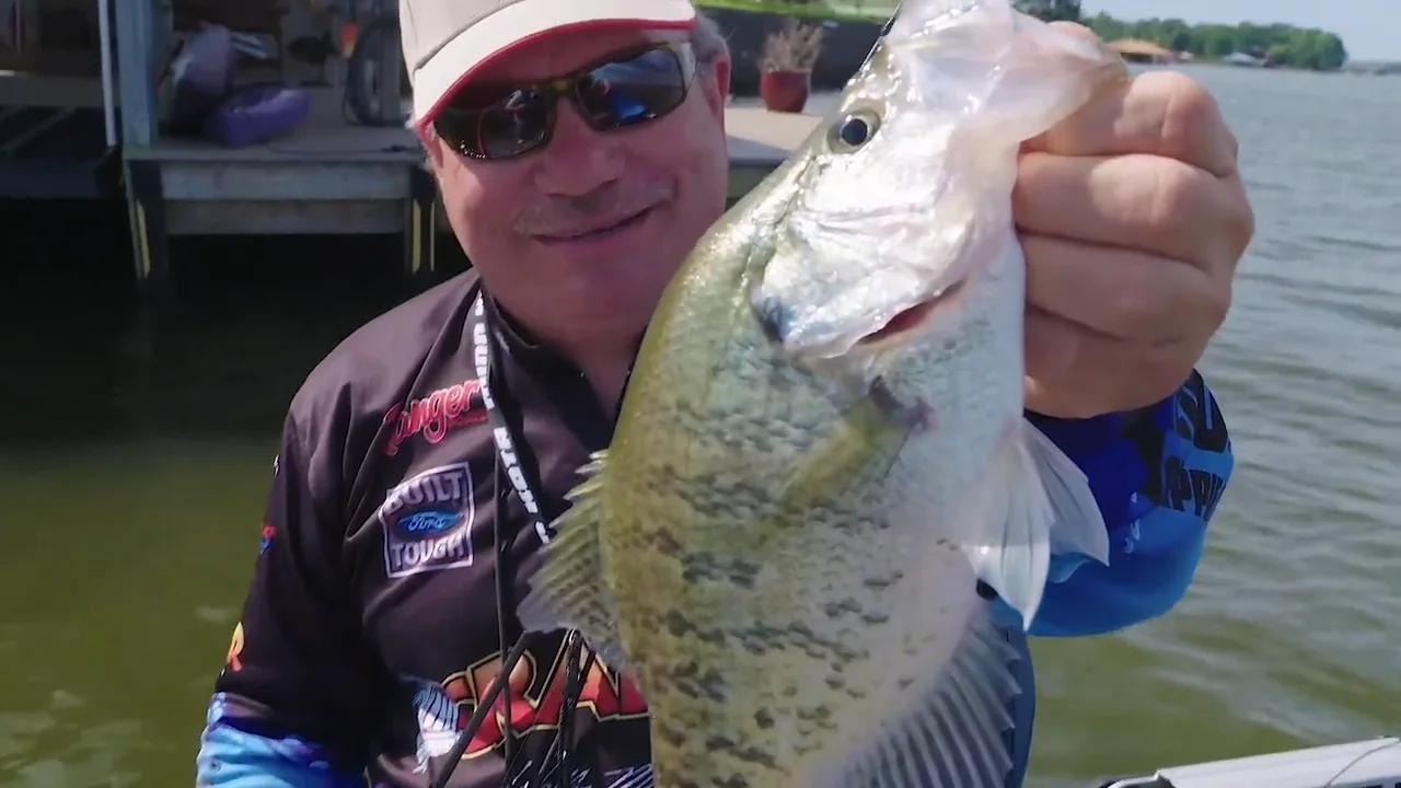 ミスチロル 698-ZZ Mini Ball Bearing 8x19x6 Shielded R-1980KK MR698ZZ