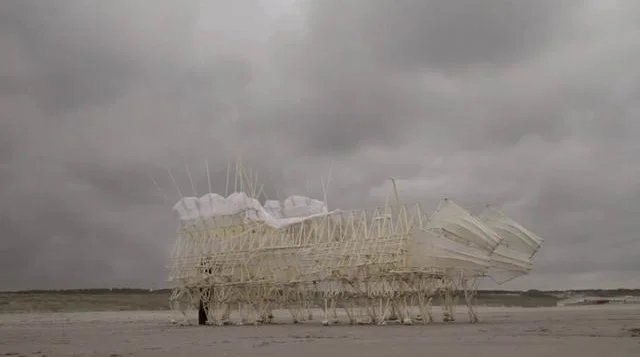 Le sculpteur Theo Jansen crée des créatures imaginaires qui prennent vie  avec le vent 