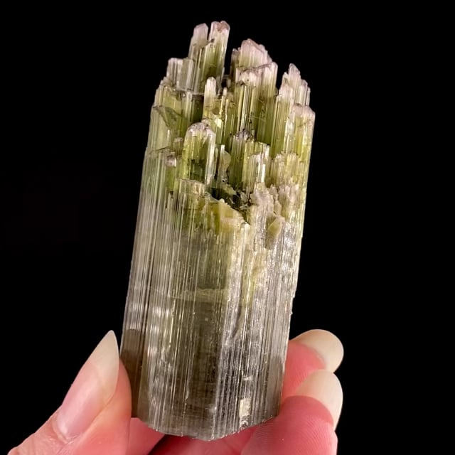 Tourmaline (unusual style for the locality)