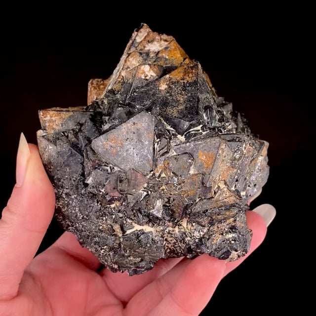 Magnetite | Atlas Mountains, North Africa