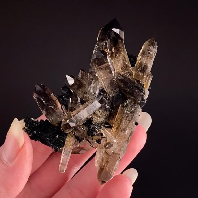 Smoky Quartz (doubly-terminated crystal) with Aegirine