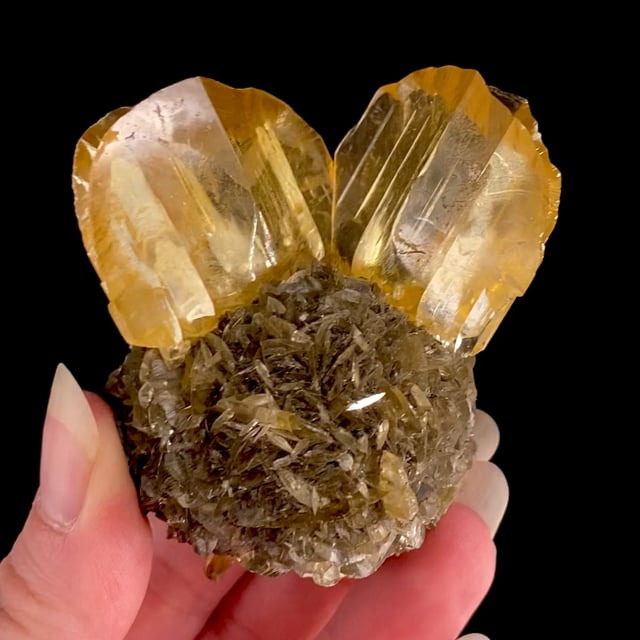Gypsum (classic ''floater'' specimen)