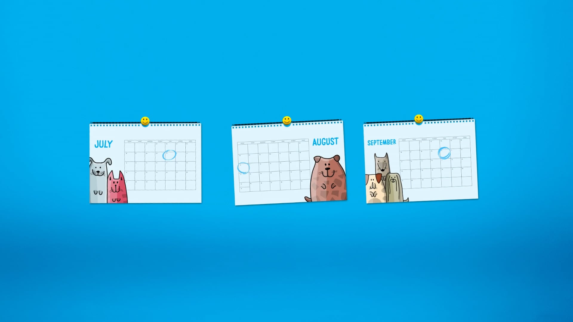 Kleenheat monthly installment payment plans explained on Vimeo