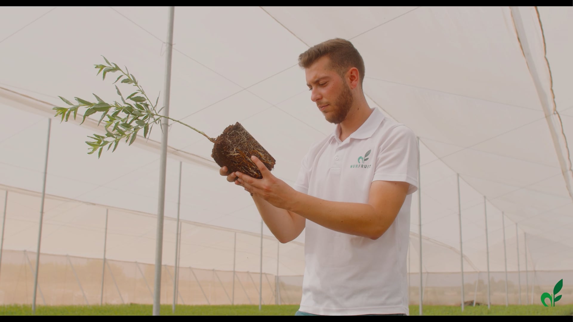 Nurfruits - Biotecnología Vegetal