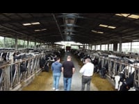 Una década de experiencia en la alimentación con ordeño robotizado