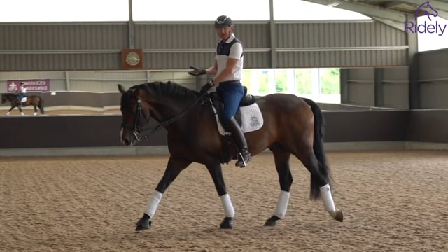 Gareth Hughes: The fundamentals of higher level dressage 