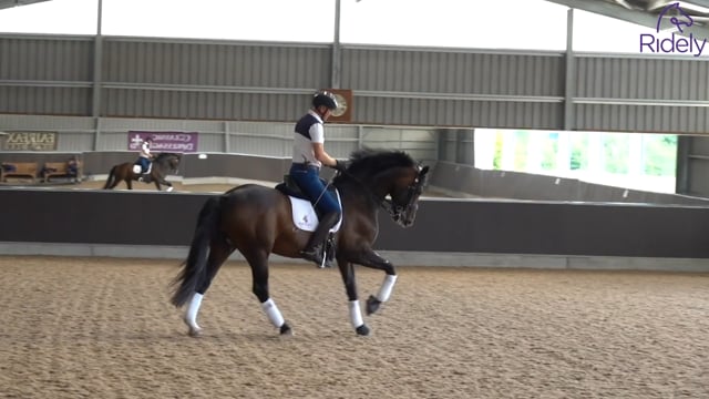 Prepare for canter pirouettes with Gareth Hughes