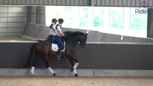 Creating suppleness in the canter for the advanced horse