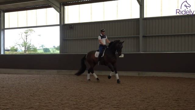 Mastering the canter zig zag