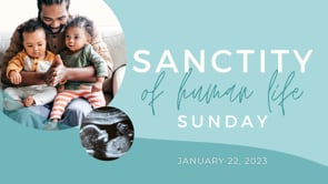 Sanctity Of Life | Island Christian Church |