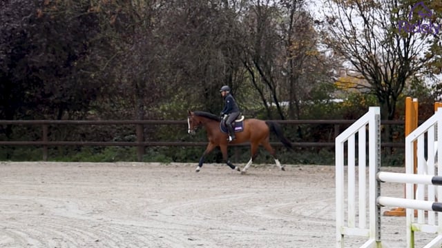 The Importance of Flatwork