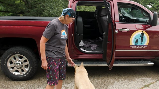 "Wait" - It Can Save Your Dog's Life