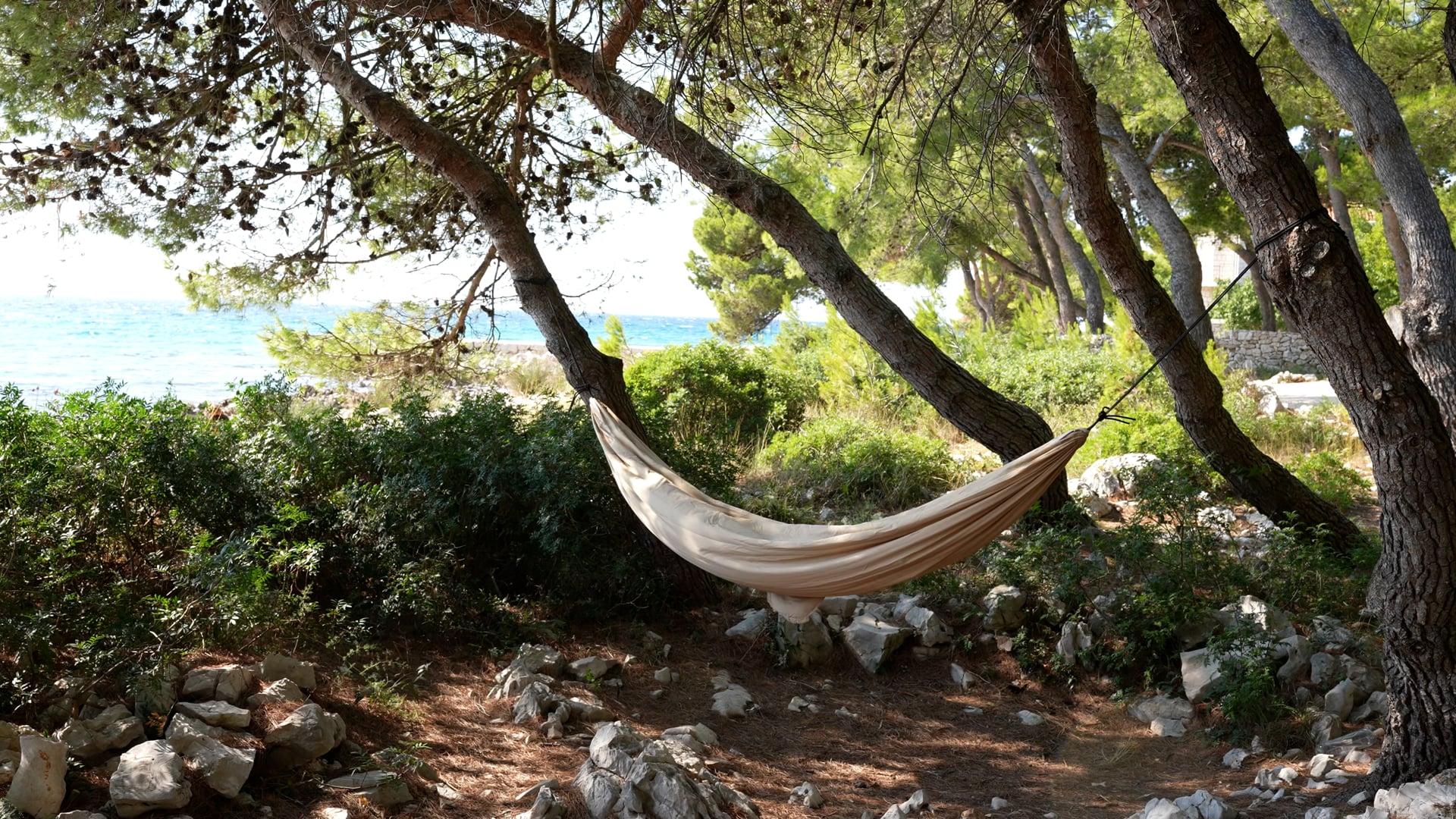 Empty hammock in the windy forest, wavey sea in the background