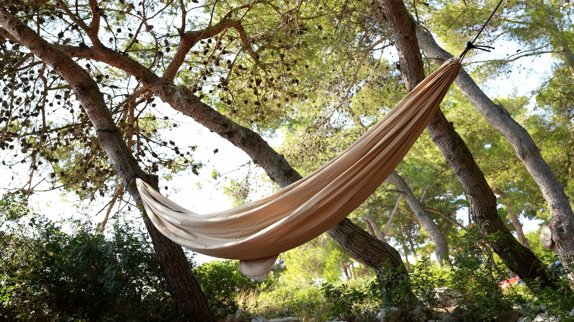 Empty beige hammock in the windy forest, sunshine and shadows