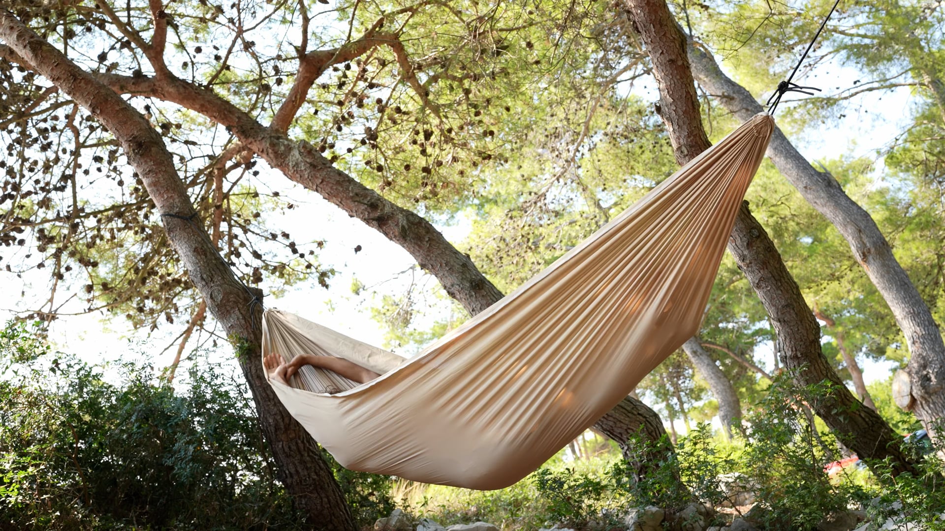 Man swinging in the beige hammock in the sunny forest