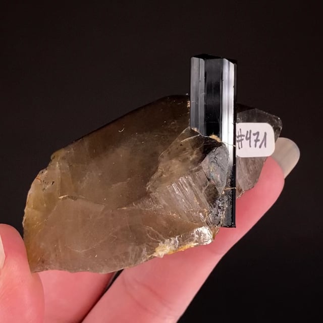 Schorl on Smoky Quartz