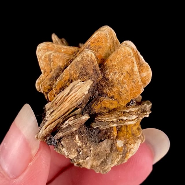 Muscovite (''Star Muscovite'') with Schorl