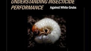 Understanding Insecticide Performance Against White Grubs