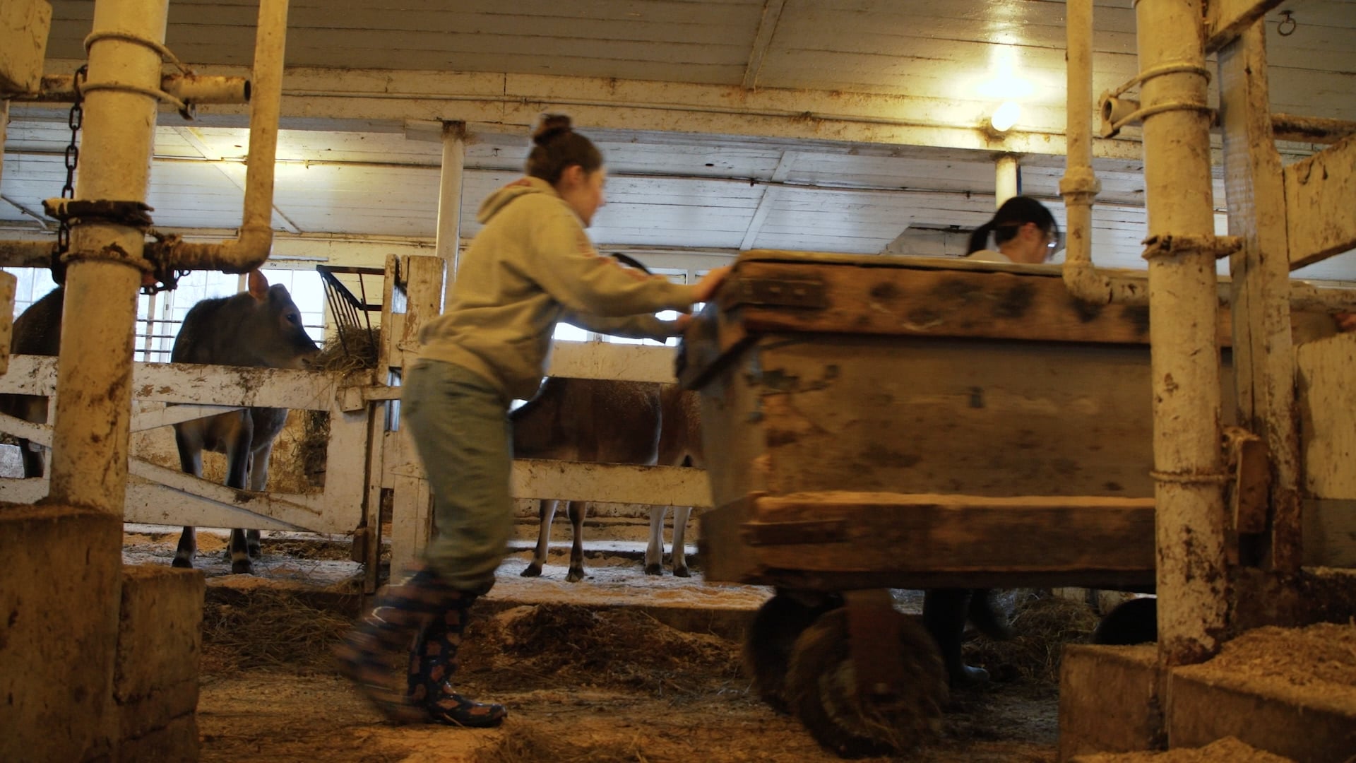 School Marketing - Putney Work Program