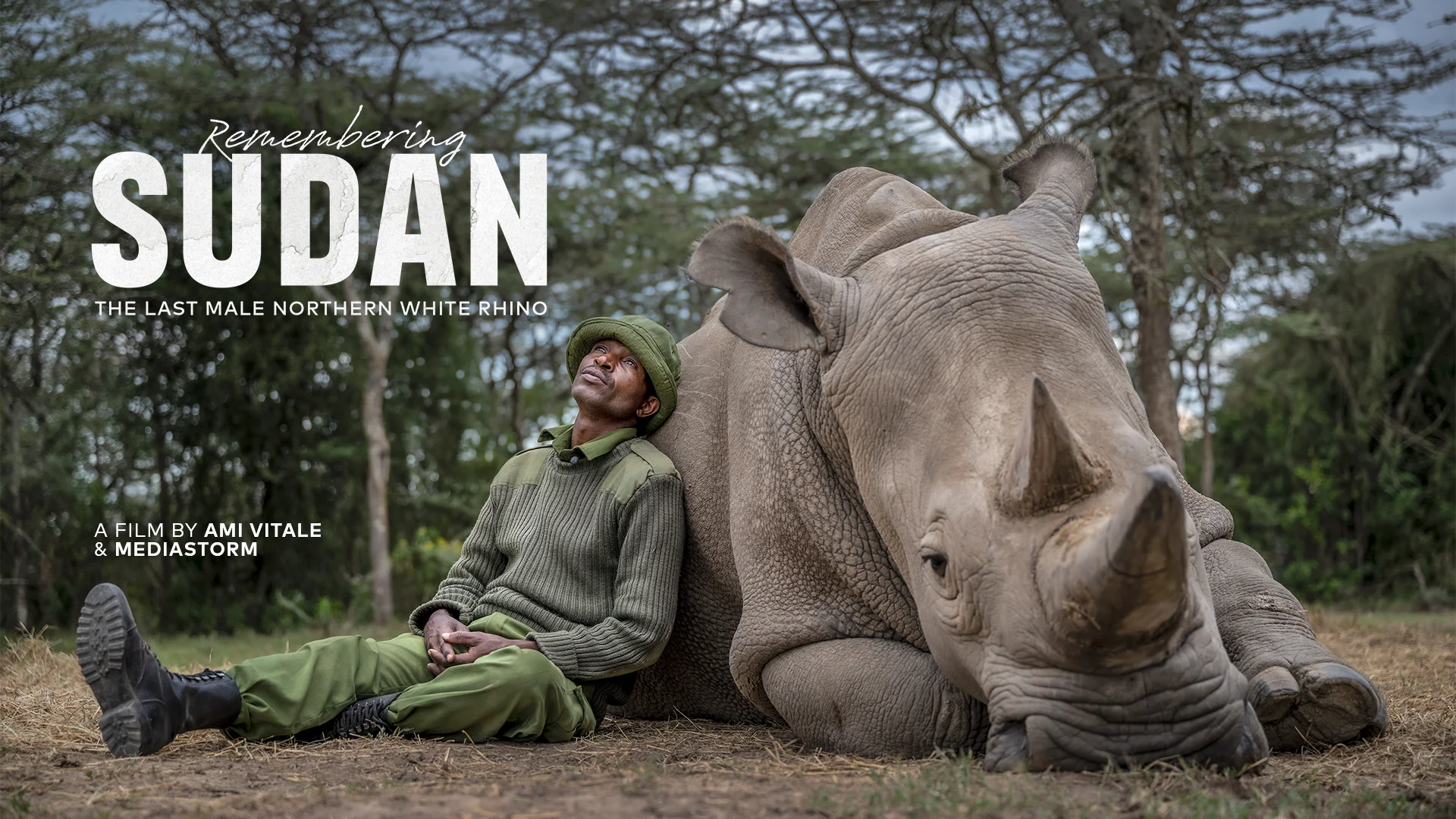 Watch Remembering Sudan: The Last Male Northern White Rhino Online | Vimeo  On Demand