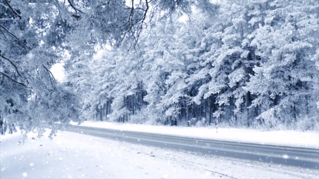Tận hưởng những cảnh tuyết trắng phủ đầy hoa tuyết bằng video miễn phí nền tuyết rơi. Đó là một trải nghiệm tuyệt vời cho những ngày đông lạnh giá, hãy cùng xem để cảm nhận nhé!