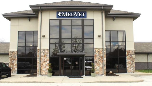 Medvet hours hot sale