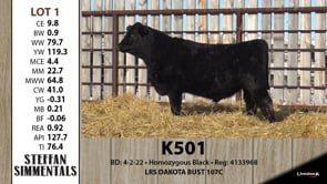 Lot #1 - K501