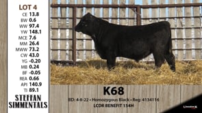 Lot #4 - K68