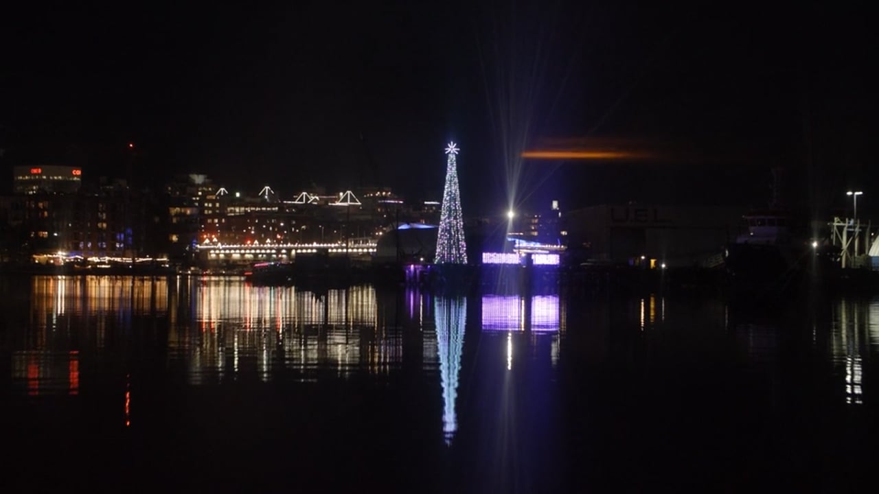 Victoria Harbour Lights - A Winter's Dream 2022