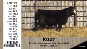 Lot #13 - K027
