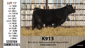 Lot #17 - K913