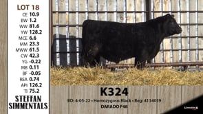 Lot #18 - K324