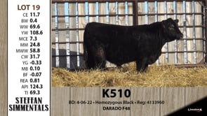 Lot #19 - K510