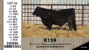 Lot #20 - K159