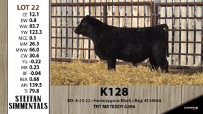 Lot #22 - K128