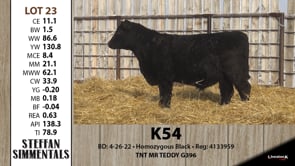 Lot #23 - K54