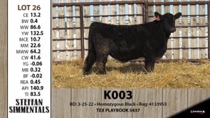 Lot #26 - K003
