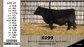 Lot #27 - K099