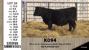 Lot #28 - K094
