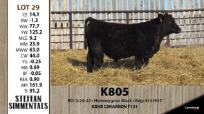 Lot #29 - K805
