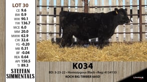 Lot #30 - K034