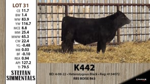 Lot #31 - K442