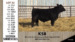Lot #32 - K58