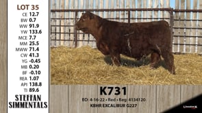 Lot #35 - K731