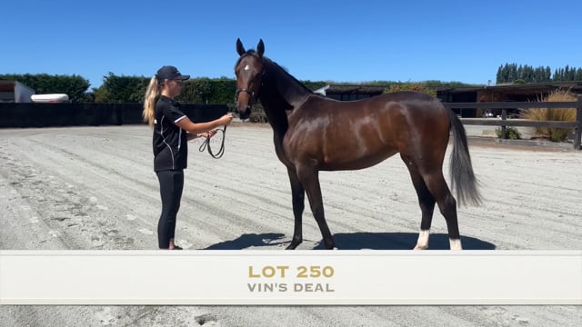 Lot 250