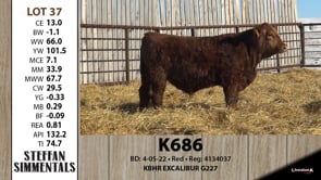 Lot #37 - K686